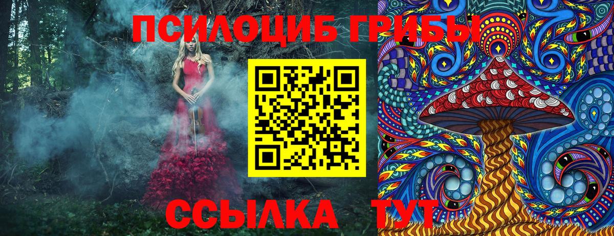 Псилоцибиновые грибы Magic Shrooms  где продают   Богородск  Вход с VPN 