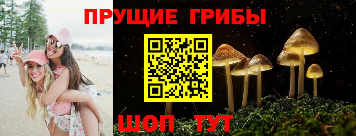Псилоцибиновые грибы мицелий Богородск